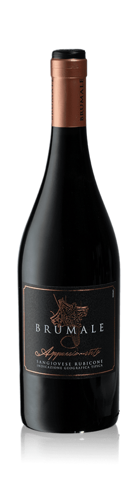 Brumale Sangiovese Rubicone Appassimento 2021