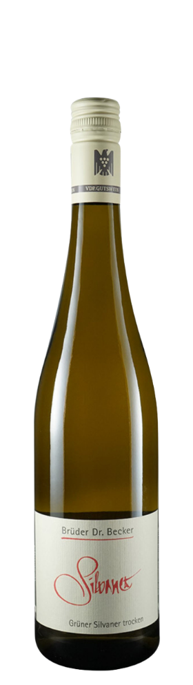 Brüder Dr. Becker Grüner Silvaner „Trocken“ VDP. Gutswein 2023