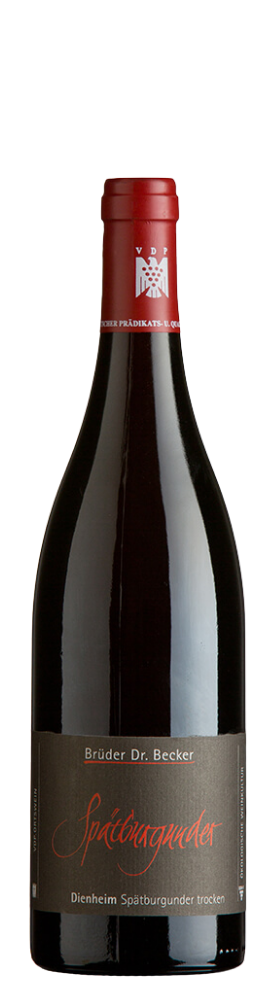 Brüder Dr. Becker Spätburgunder "Trocken", Deinheim VDP. Ortswein 2020