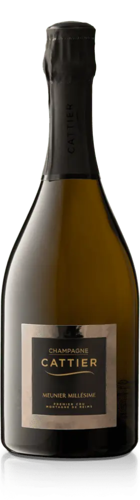 Cattier Vintage Champagne ”Meunier” Premier Cru Brut 2016 (Gaveæske)