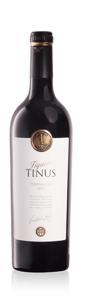 Figuero Tinus 2017