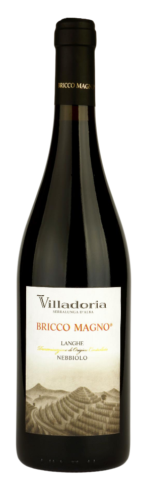 Villadoria Langhe DOC Nebbiolo Bricco Magno 2020