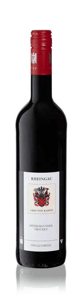 Weingut Kanitz Spätburgunder 2021