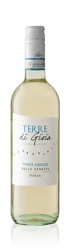 Albino Armani Terre Di Gioia Pinot Grigio 2023