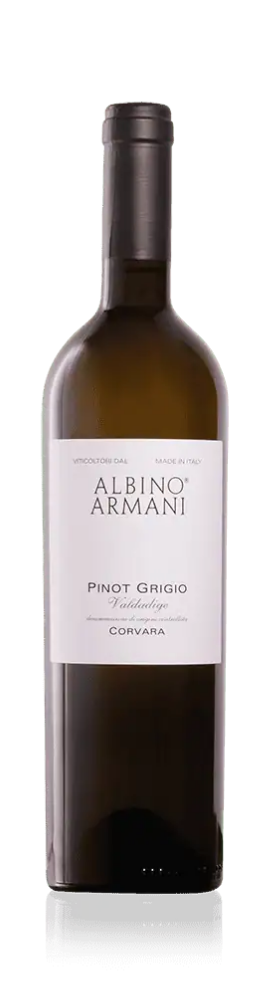 Albino Armani Corvara Pinot Grigio 2024