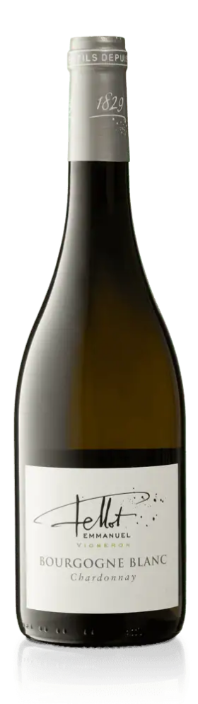 Emmanuel Fellot Bourgogne Blanc 2022