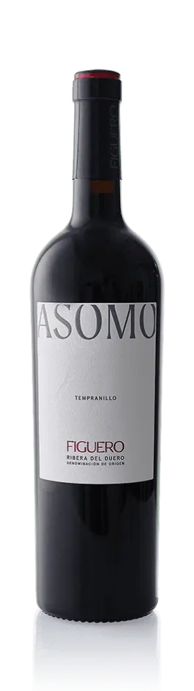 Figuero Asomo 2022