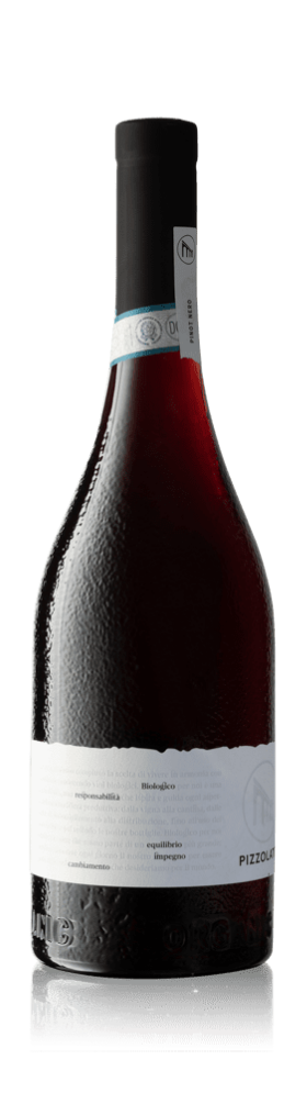 La Cantina Pizzolato Pinot Nero 2021